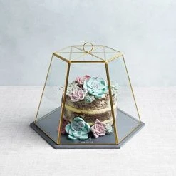 Artesa Serving Cloche 7 Artesa Serving Cloche -tableware ARTTERRARIUM KitchenCraft Artesa Serving Cloche 2