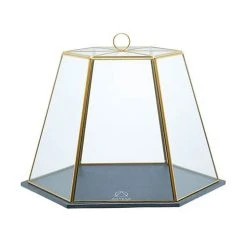 Artesa Serving Cloche