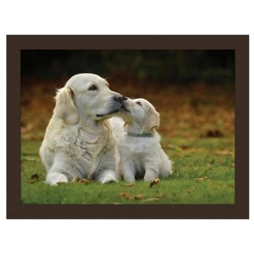 Rural Roots Golden Retrievers Lap Tray 3 Rural Roots Golden Retrievers Lap Tray