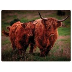 Rural Roots Highland Cows Placemat Pack Of 4 -tableware PMO2604X4 Rural Roots By Tradestock Highland Cows Placemat Pack Of 4 1
