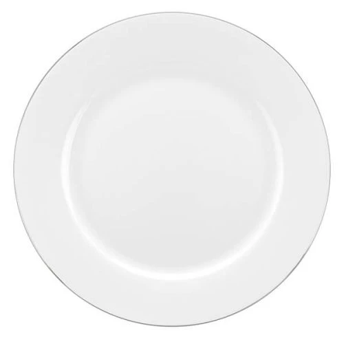 Royal Worcester Serendipity Platinum Set Of 4 Dinner Plates 4 Royal Worcester Serendipity Platinum Set Of 4 Dinner Plates - Image 2