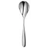 Robert Welch Stanton Bright Serving Spoon 1 Robert Welch Stanton Bright Serving Spoon -tableware STABR1050L Robert Welch Stanton Bright Serving Spoon